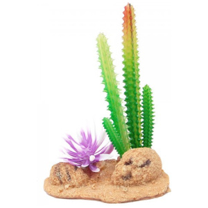 Eco Tech Desert Cactus With Brush And Rock 13Cm