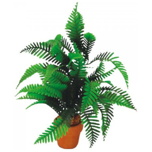 Eco Tech Desert Fern 20Cm