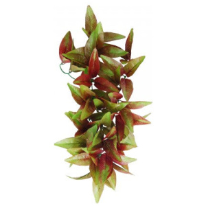 Eco Tech Hanging Radiating Star Plant 35X25Cm