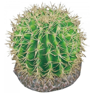 Eco Tech Pineapple Cactus 20Cm