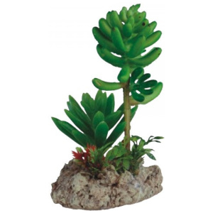 Eco Tech Twin Cactus Unit 12Cm