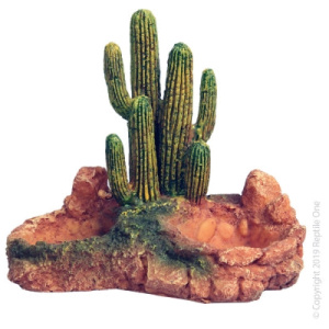 Reptile One Cactus Garden With Resin Base Small 12X12X14Cm