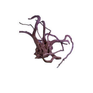 Dymax Tweety Wood Small