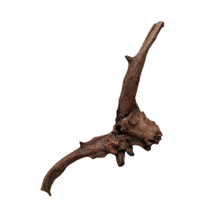 Dymax Drift Wood Xlarge