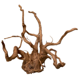 Dymax Tweety Wood Medium