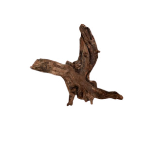 Dymax Drift Wood Medium