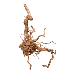 Dymax Tweety Wood Large