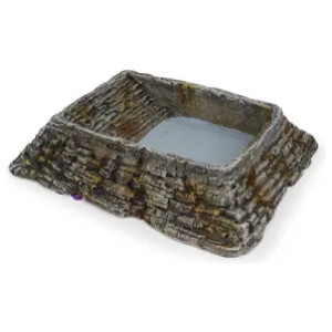 Reptile Feeding Dish – Medium