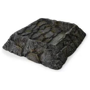 Reptile Feeding Dish W/Stairs- Large