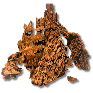 Dragonwood X-Large per piece