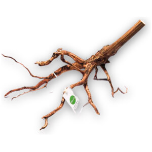 Tiger Forest Wood X-Small per piece
