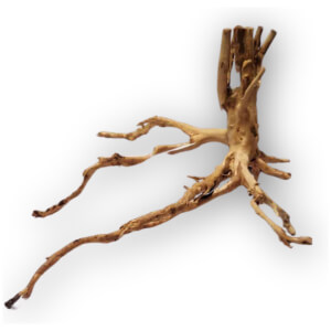 Gold Forest Wood X-Small per piece