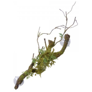 Eco Tech Large Vine Cluster With Moss Lichen