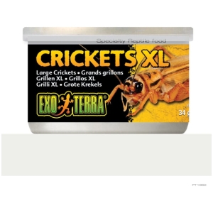Exo Terra Crickets XLarge 34gm 1.2oz