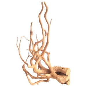 Spider Wood Medium 30 – 40cm 1 Pieces