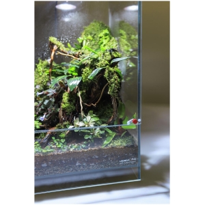 AQ-F30 Infinity Hylaea All-in-One Terrarium Kit (30x30x50cm)